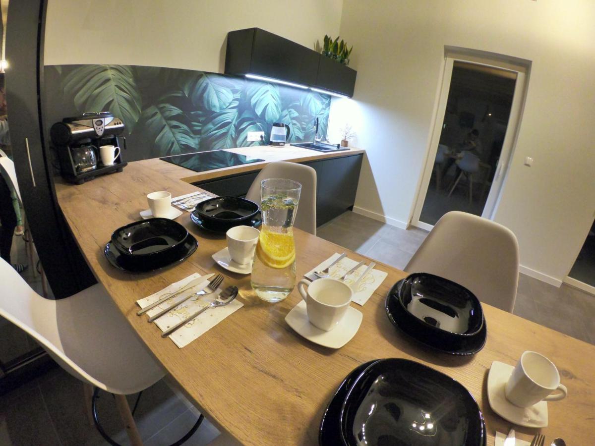 ミスワコビツェ Sniezka Houseヴィラ エクステリア 写真